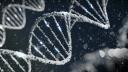 The Secrets of DNA The Marvels of the Human Genetic Blueprint