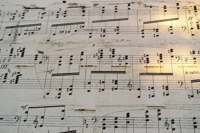 Music and Human